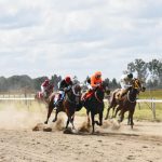 hipodromo_0_0