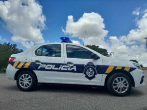 MOVIL RENAULT (23)_2