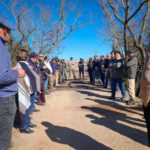 camino monzon (3)