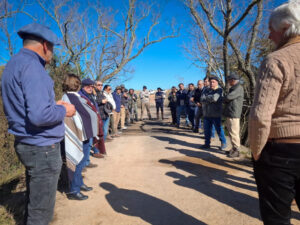 camino monzon (3)
