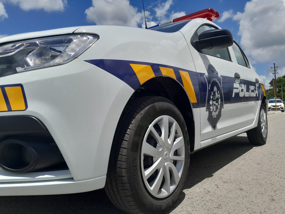 MOVIL RENAULT (21)_2