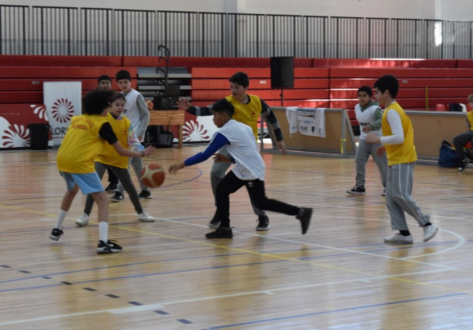 basquet