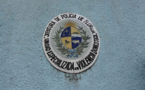 Escudo CEVDG_6