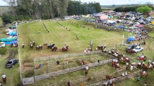 caballo