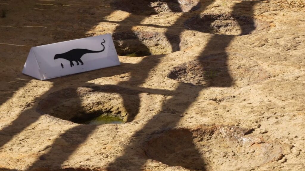dino
