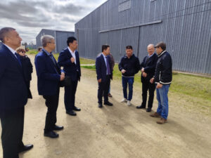empresarios chinos (2)