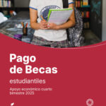 WhatsApp Image 2025-11-27 at 13.44.13