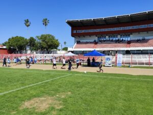 fa4af8df-25af-4f7b-a5d8-c32915dd9501