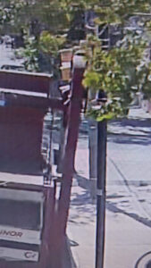 WhatsApp Image 2025-12-16 at 3.14.52 PM