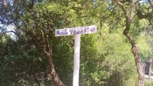 55d291ba-4c84-495a-a69f-ba1cd45c9a0b