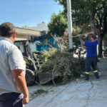 WhatsApp Image 2026-01-08 at 14.01.37 (1)