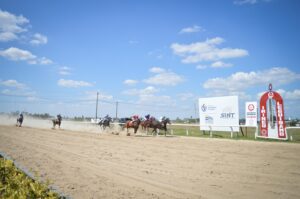 WhatsApp Image 2026-01-29 at 16.27.29 (2)