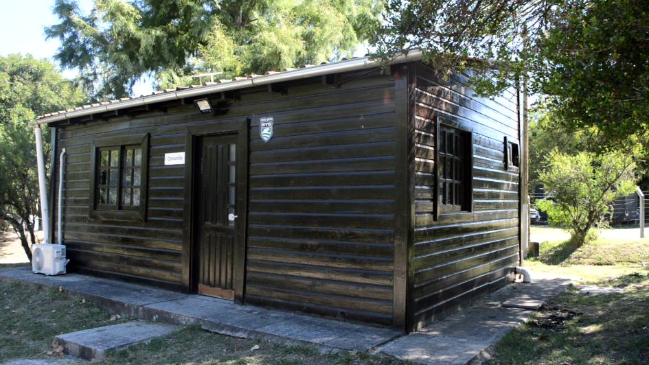 vlcsnap-2026-01-23-12h17m43s045