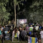 e55cd7fd-aa4f-4dd4-9ed6-9de7cab5dd45