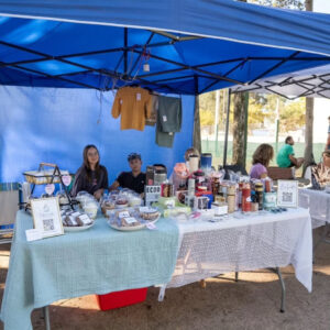 SaveClip.App_670463023_18104797805490745_857467281536575388_n