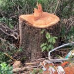 WhatsApp Image 2026-04-19 at 21.41.54