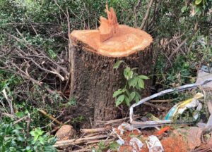 WhatsApp Image 2026-04-19 at 21.41.54