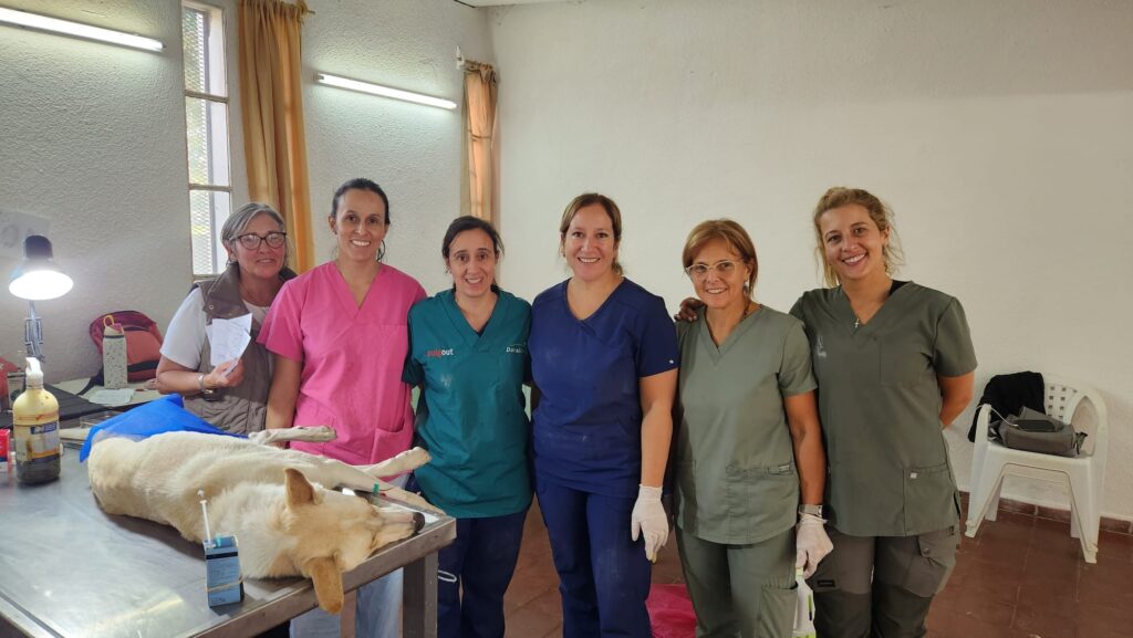 WhatsApp Image 2026-04-27 at 21.22.01