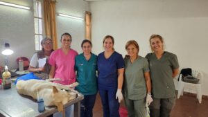 WhatsApp Image 2026-04-27 at 21.22.01