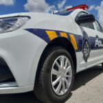 MOVIL RENAULT (21)_5