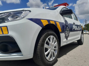 MOVIL RENAULT (21)_5