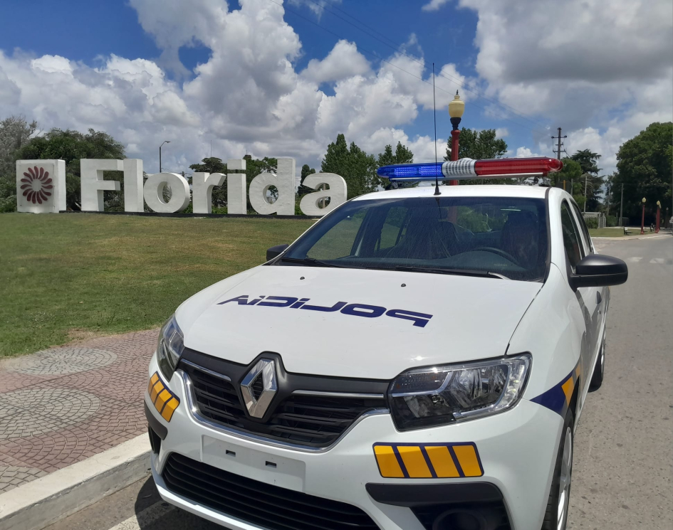MOVIL RENAULT (20)_1