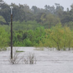 crecientes florida