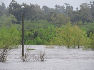 crecientes florida