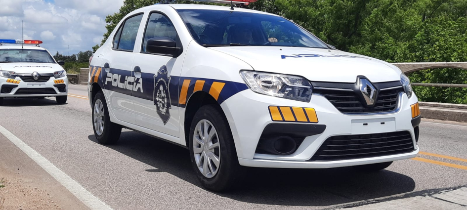 RENAULT (22)_0