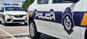 RENAULT (26)_6