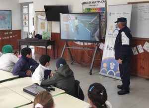 Taller seg. vial22